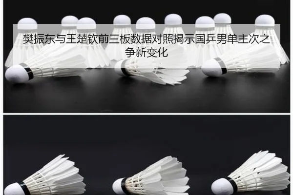 fan-zhen-dong-yu-wang-chu-qin-qian-san-ban-shu-ju-dui-zhao-jie-shi-guo-ping-nan-dan-zhu-ci-zhi-zheng-xin-bian-hua-2-788.jpg